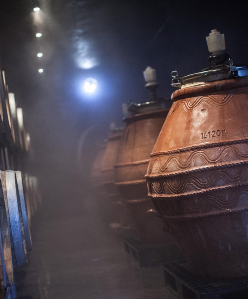 L'équipe Perladuva — spécialiste en importation de vins italiens depuis 2014